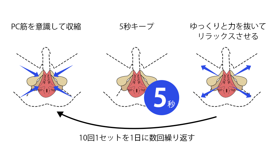PC筋のトレーニング方法の紹介。